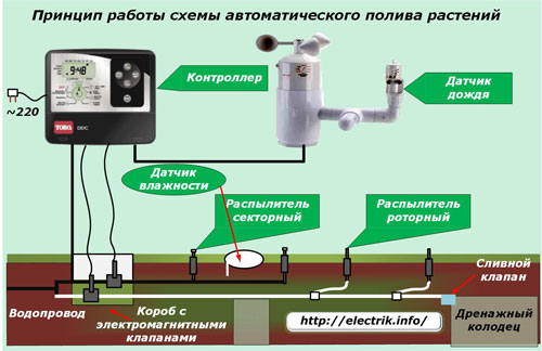 Принцип работы системы автоматического полива растений
