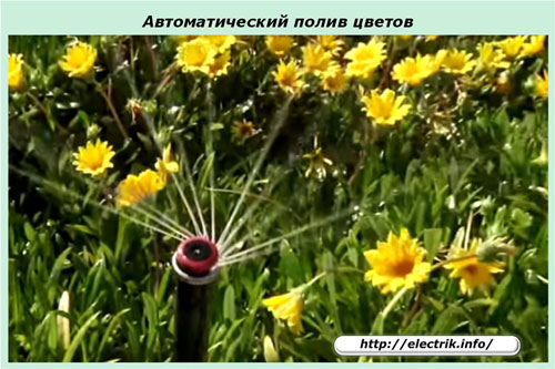 Автоматический полив цветов