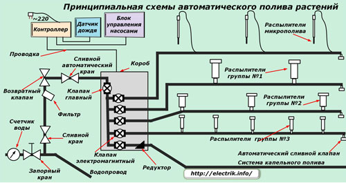Принципиальная схема автоматического полива растений