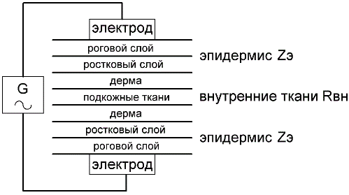 электрическое сопротивление тела человека