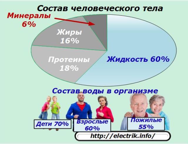 Состав человеческого тела