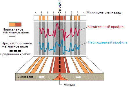 Компьютерная модель