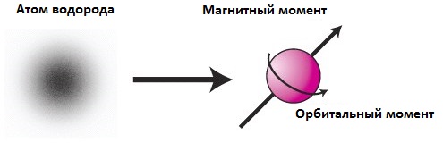 Принцип работы МРТ