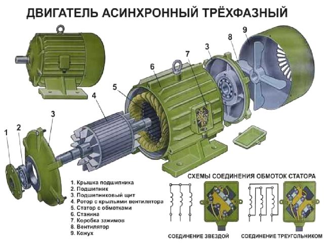 Устройство трехфазного асинхронного двигателя
